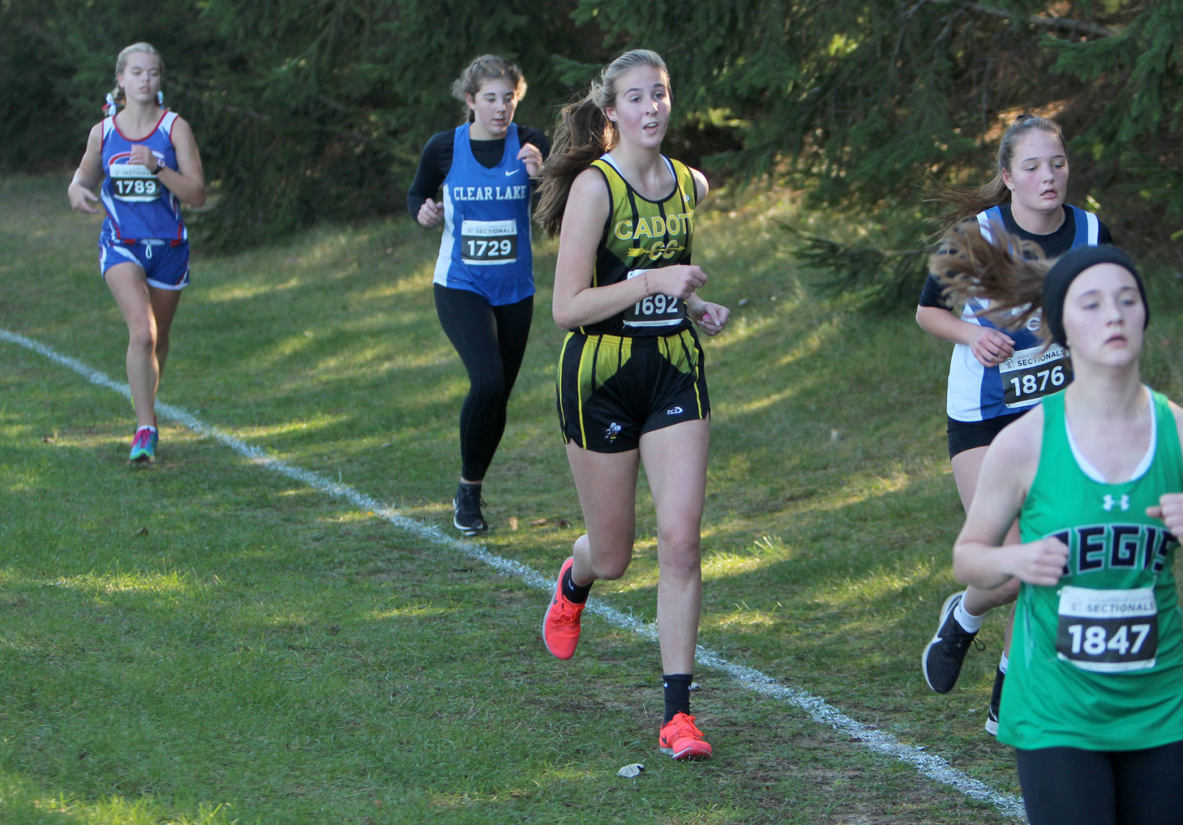 Division 3 Cross Country Sectionals in Boyceville 10-26-19